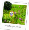 Shooting & paint ball games