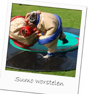 Sumo worstelen